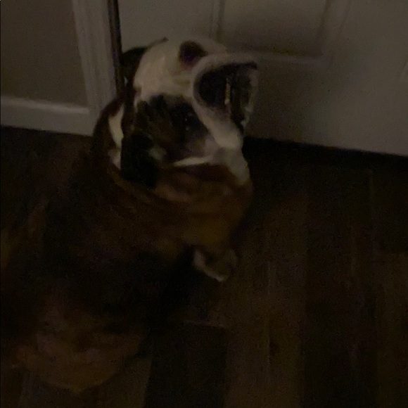 Meet your Posher, Nicholas - Picture 1 of 1